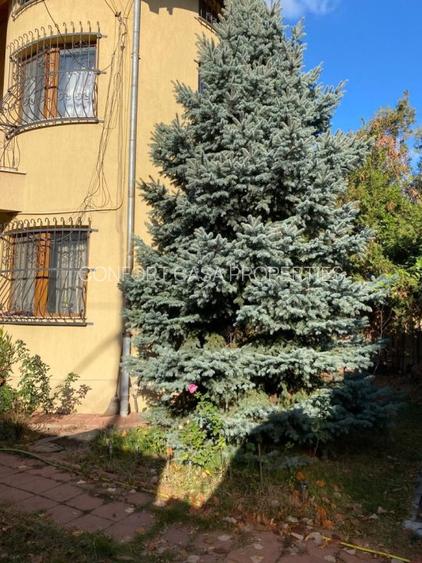 Bucurestii Noi Parc si metrou Bazilescu  P+1+M - 5