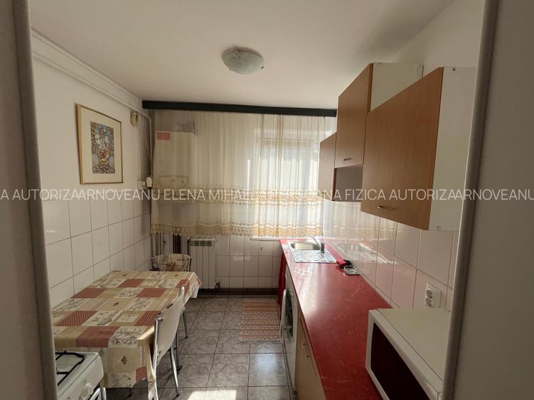 De inchiriat Apartament 2camere, zona Tudor Vladimirescu-Iulius Mall - 8