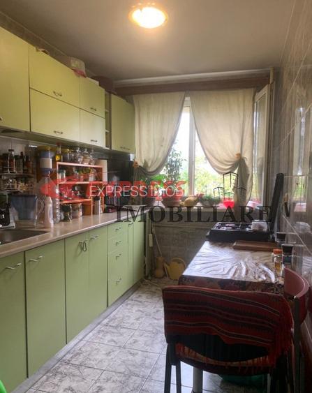 Dristor, Camil Ressu, Ambrozie, parc IOR - 2