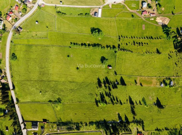 Vanzare 16700 - 9 loturi - Plaiul Sarului la sosea- microdezvoltare langa oras - 5