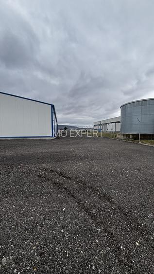 Hala de închiriat - 7