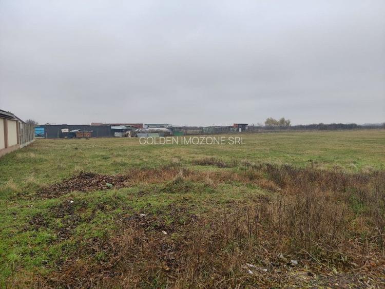 Teren 4588 mp, Remetea Mare Comision 0% - 2