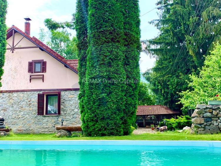 Pensiune cu 13 camere de vânzare in Bulz - 44