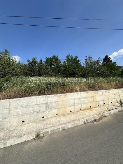 CASA DE VANZARE EPISCOPIA Str. Dealului 732 MP - 5