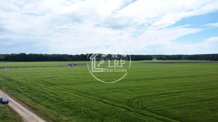 OPORTUNITATE INVESTIȚIE:Teren intravilan 25.000mp Dascălu-Pădure, parcelabil - 9