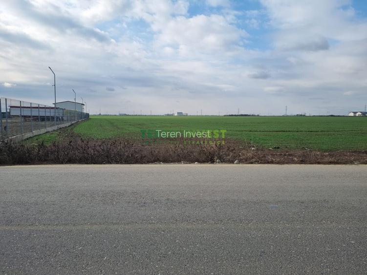 TEREN INDUSTRIAL 8000 MP – LA DN4, ACCES DIRECT! - 4