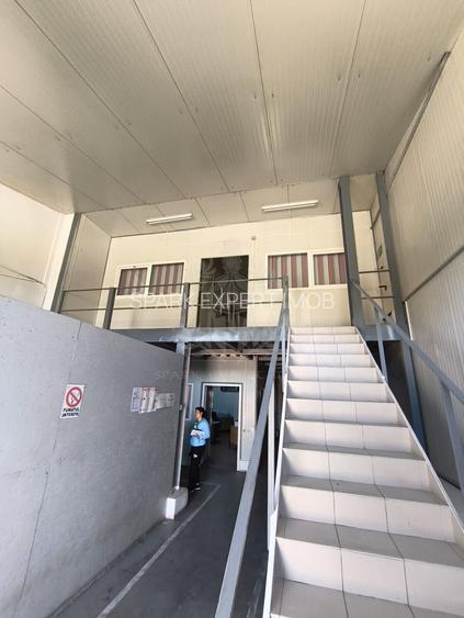 HALA PRODUCTIE/DEPOZITARE//BIROURI//ZONA DEDEMAN/BEREASCA - 3