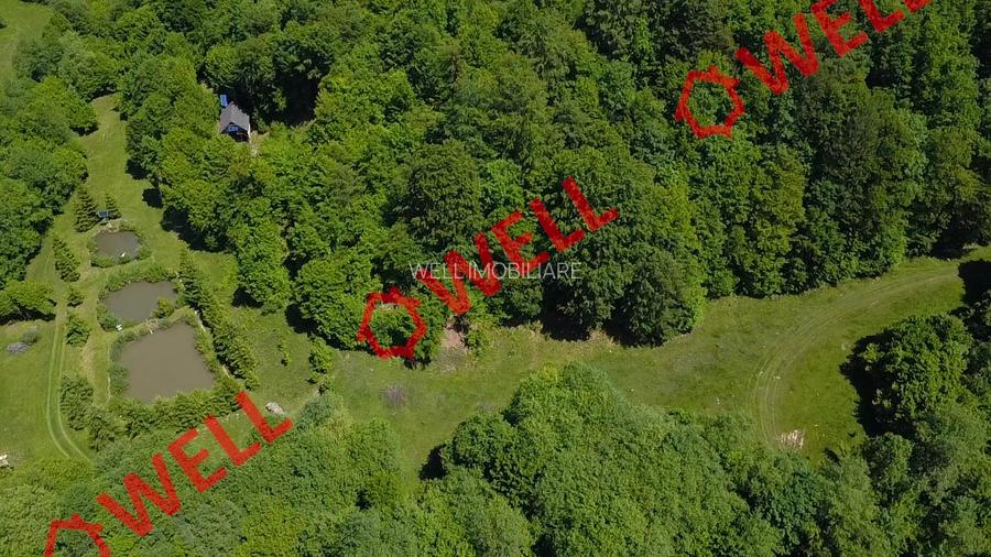 Cabana deosebită de vânzare între Valea Zălanului și Malnaș! - 7