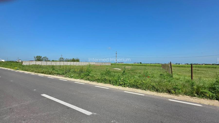 Teren extravilan 2000 mp – deschidere 44 ml la DN – Movilița - 4
