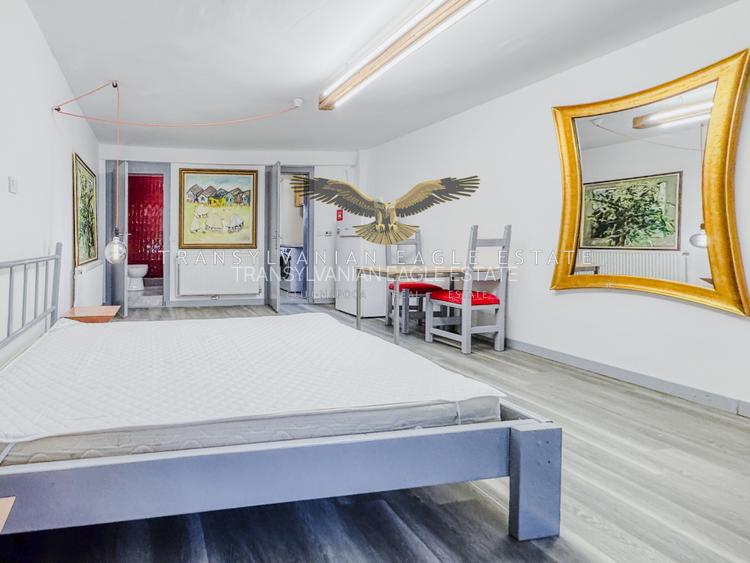 PET friendly Apartament modern|1 camera |36 m2 utili|Zona USAMV - 10