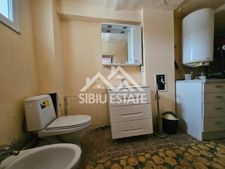 Casa Sibiu la Nucet teren 2317mp - 10