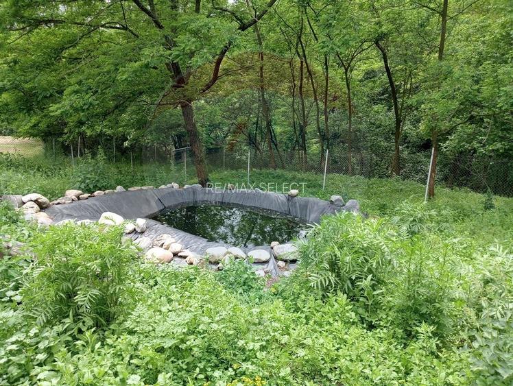 Vanzare casa  4 camere-microferma, cu panouri fotovoltaice - 28