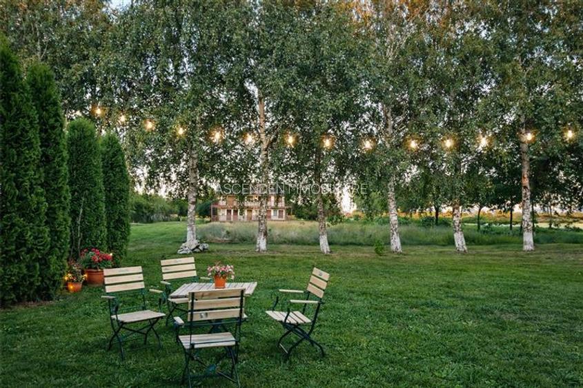 3D! Restaurant cu gradina,facilitati,de inchiriat,deschidere la DN,Halchiu,Braso - 4