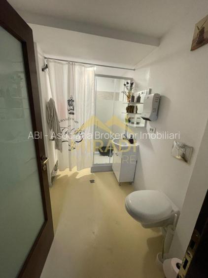 Vanzari Case / Vile DOROBANTI - 8