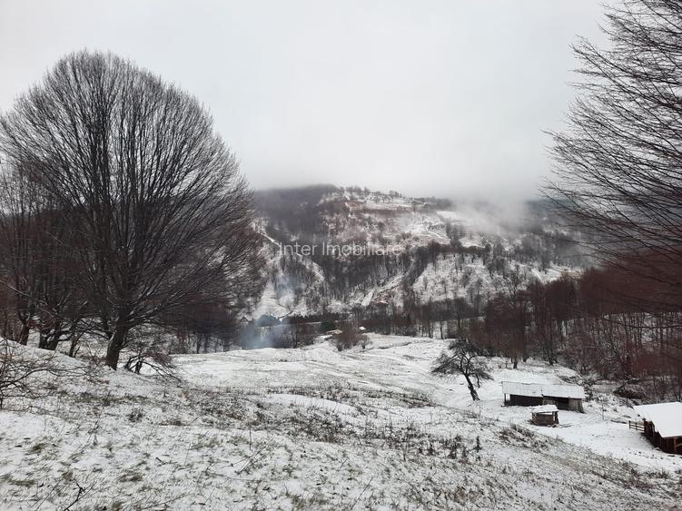 Teren de vanzare Com Alexandru cel Bun (Jud. Neamt) Latu, 2746 mp , Cod 142788 - 3