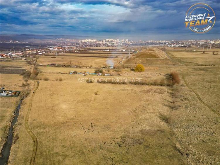 Teren extravilan de 5.800 mp in Sfantu Gheorghe:oportunitate Investie/Exploatare - 2