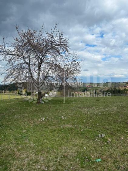 Teren intravilan ideal pentru investitie 1716mp | Front 38m | Marisel - 2