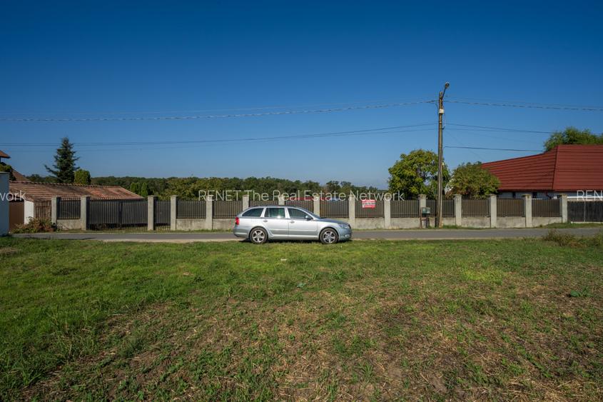 BRANESTI, TEREN 1400 MP, DESCHIDERE 32 MP, VEDERE LA LAC! - 4