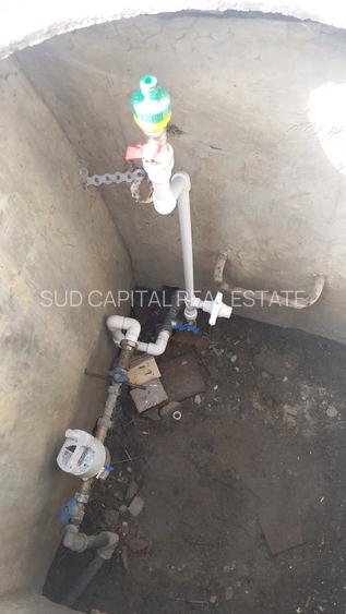 Vilă de  la Podul Grant – 250 mp + 100 mp curte - 43