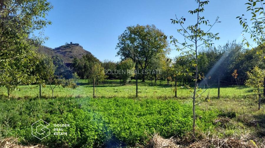 Casa cu 3 corpuri de cladire, localitatea Lipova - 8