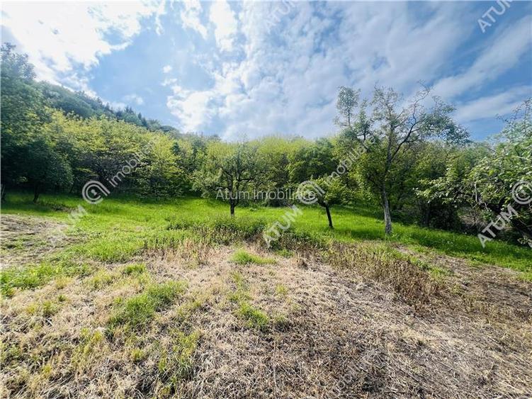 Teren intravilan de 1811 mp situat in Sibiel judetul Sibiu - 5