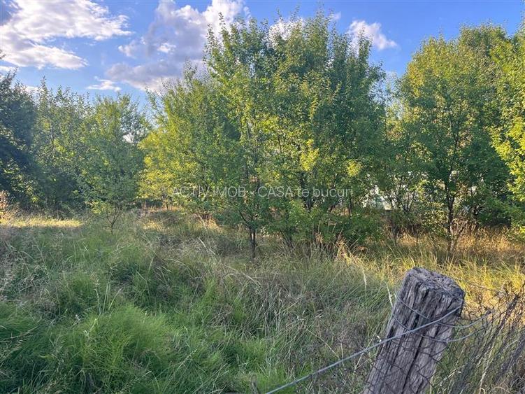 Darova, Teren Intravilan 1060 Mp., Str. Principala - 4