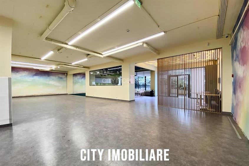 Spatiu comercial 250 mp + terasa 70 mp, Grigorescu, Parter, Ideal HoReCa   Showr - 14