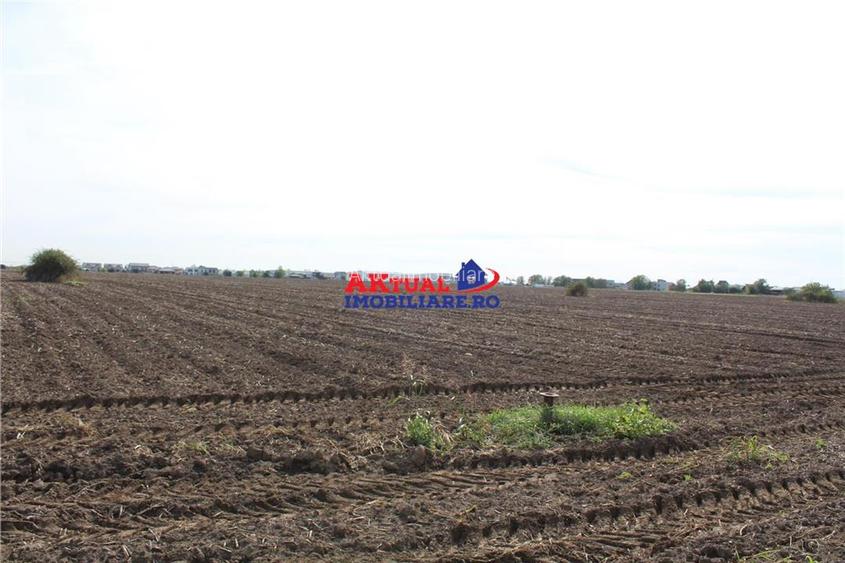 Teren de vanzare Balotesti,Stradal -Residentiale sau Comercial-cu toate utilitat - 5