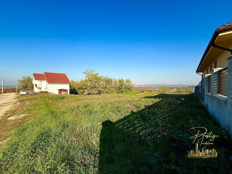 Teren Intravilan 1146 mp cu vedere panoramica de vanzare in Paleu - 3