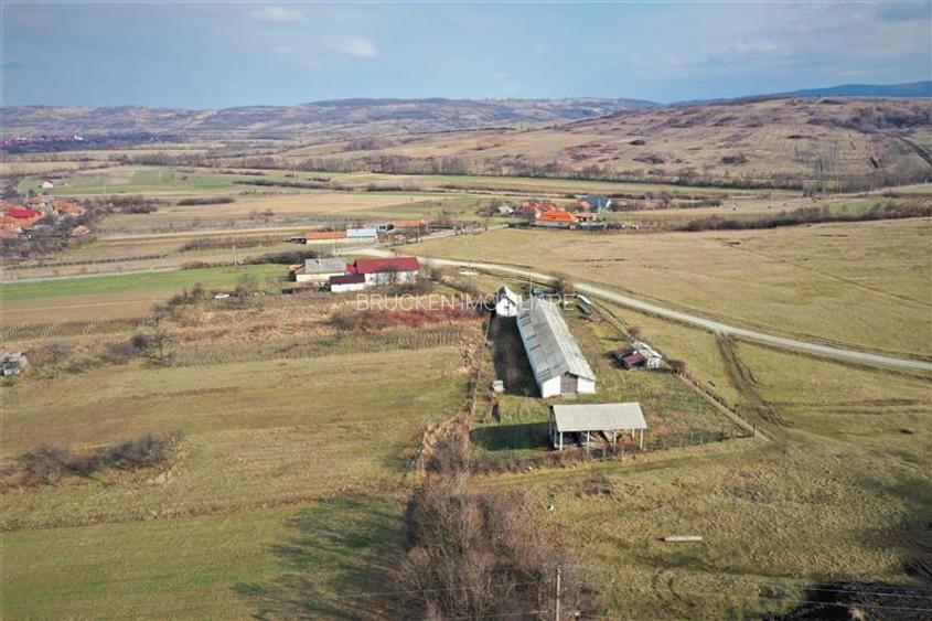 MICRO-FERMA + CASA IN VOIVOZI - BIHOR - 6