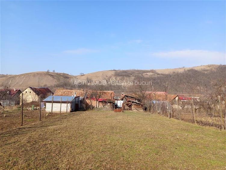 Ciclova, Casa 10 Incaperi, pt 2 Familii, 1439mp Teren - 25