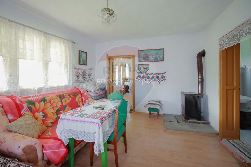 De vânzare casă cu teren și pădure 55706 mp - Șinteu, Valea Târnei - 12