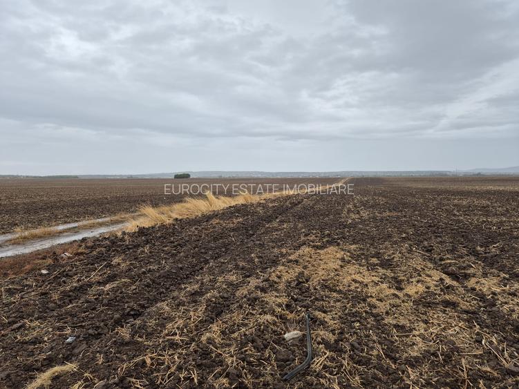 Metro Ploiesti - Paulesti, vanzare teren 39.144mp. - 14