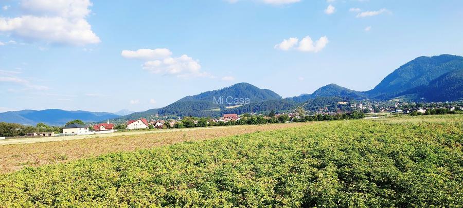 teren intravilan in Sacele-Baciu - 5