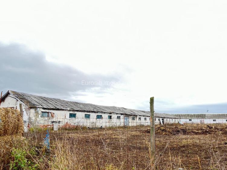 Teren intravilan in Brasov Sambata de Sus - 5