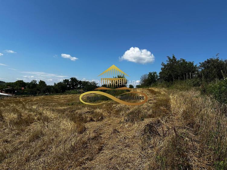 Casa de vanzare in Secuieni / Bacau - 15