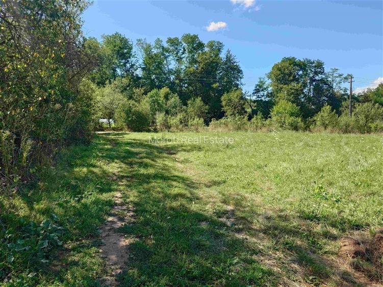 Teren intravilan pentru casa sau vacanta, Lunca, Baia de Cris - 4