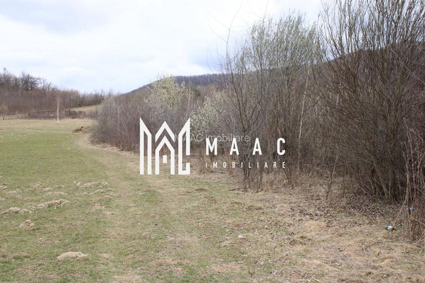 Pământ I Fereastră către Eternitate în  Transilvania - 20