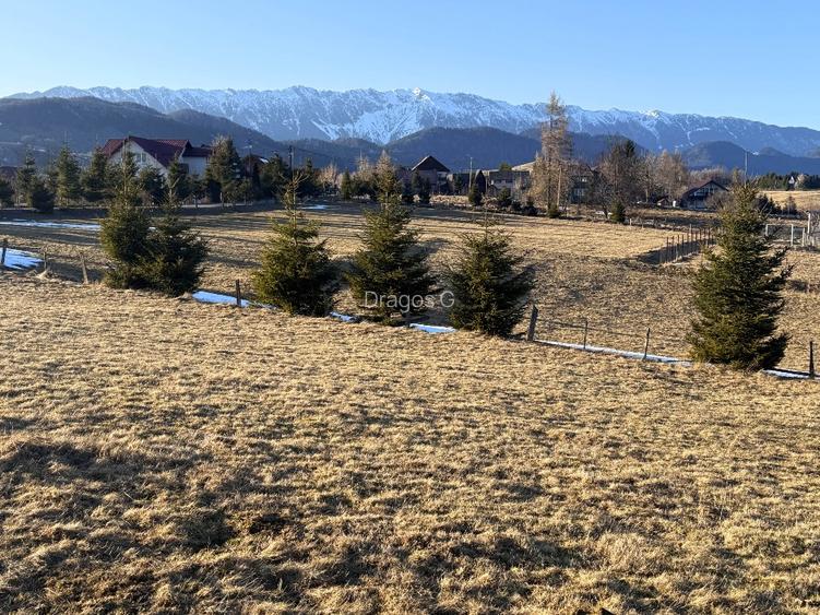 Teren satul Sirnea, intravilan, deschidere 120 m la drum asfaltat,  - 4