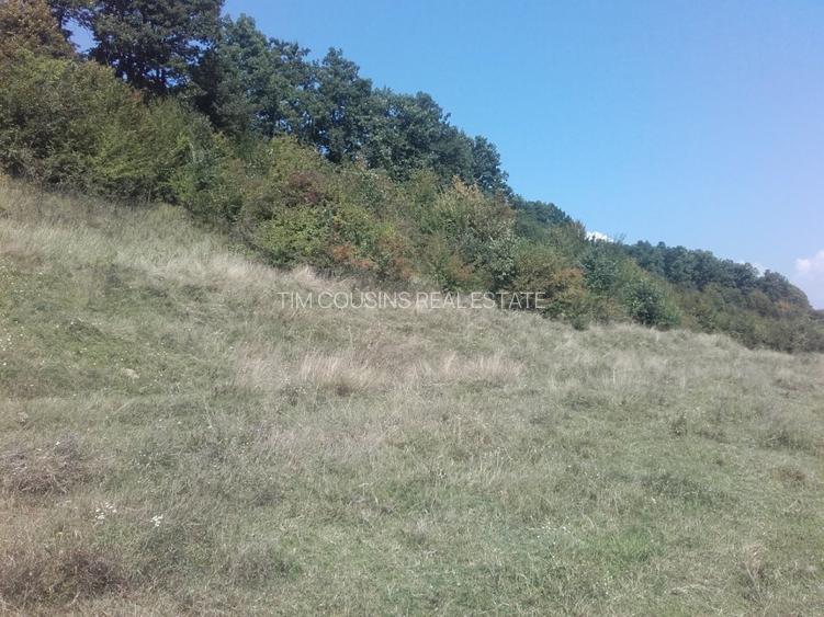 Teren, loc de casă, vânzare 3500 mp Cornesti-Bălești-Gorj, 2 euro mp - 7
