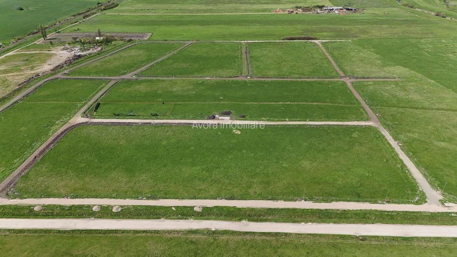 Parcele de teren Sacalaz - 4