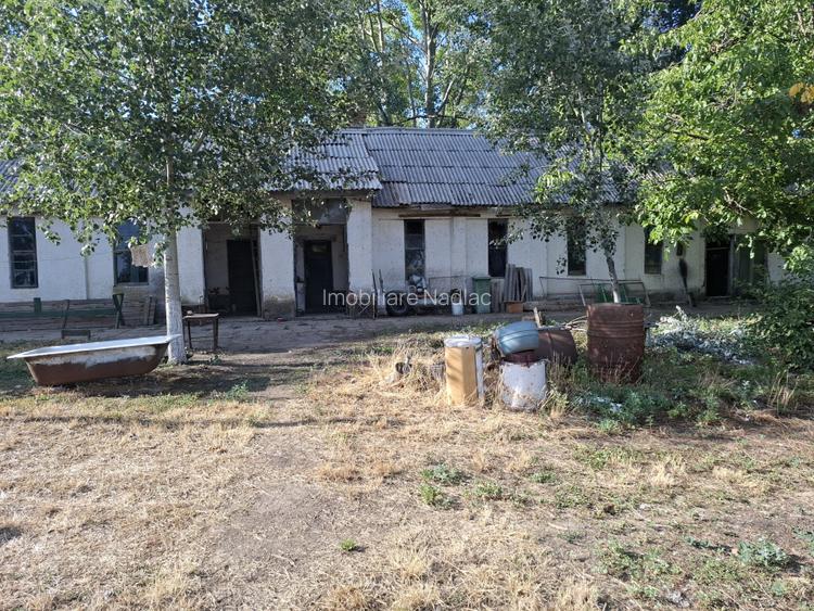Ferma cu teren agricol de vanzare in Nadlac - 3