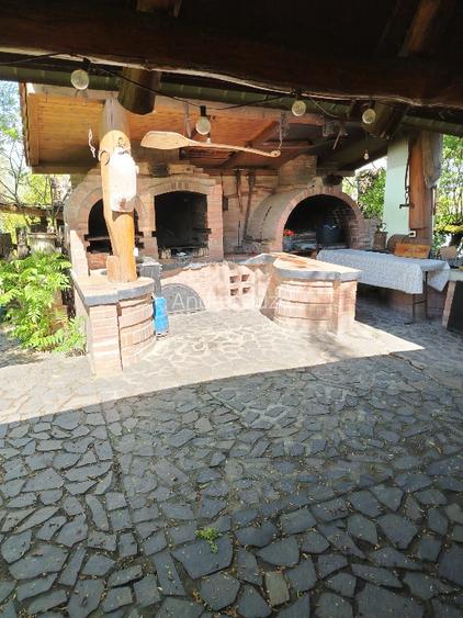 Lac de agrement pentru pescuit – Proprietate completă, 8,1 ha | De vânzare - 4
