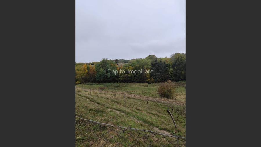 VIla de vanzare Teisani Stubeiu 11250 mp - 6