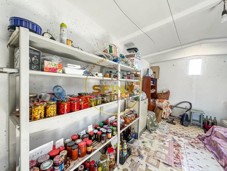 De vanzare ferma Calarasi in stare de conservare - sere - livada - 38