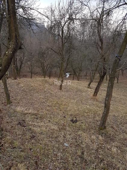 1700p Olanesti str Glodeanu , intrarea Ganesti - 3