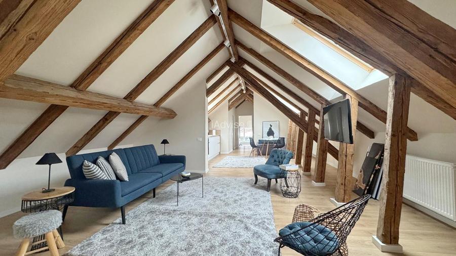 APARTAMENT COZY CU 2 CAMERE LA MANSARDA UNEI VILE - 3