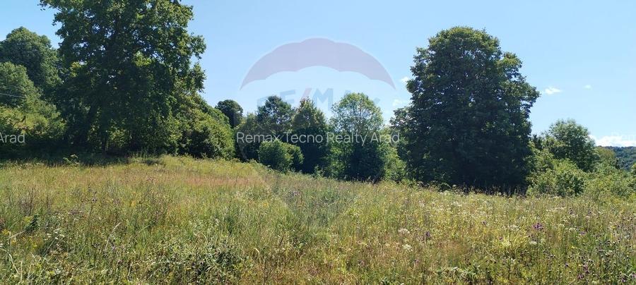 Teren 3,871mp Varmaga / None - 10