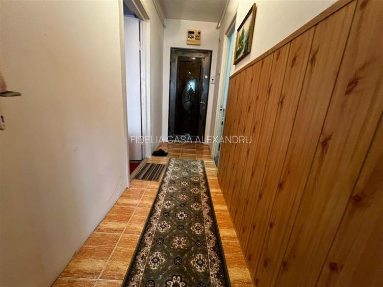 Apartament 1 camera  de vanzare  Alexandru cel Bun, - 5