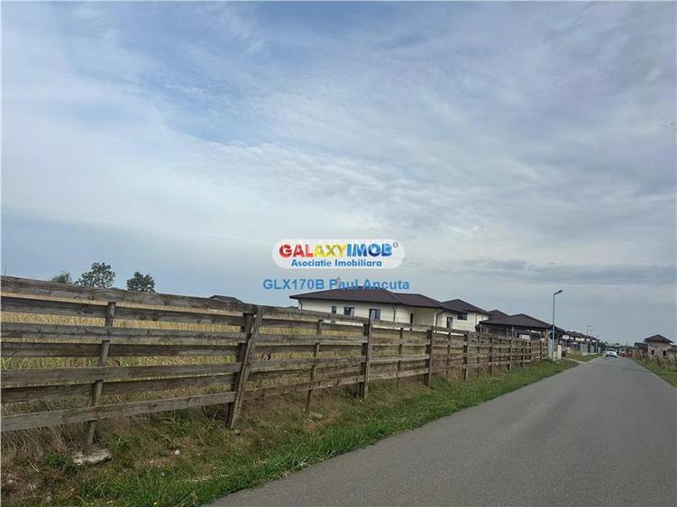 Teren Balotesti 14400 mp intravilan la str Amurgului cu str Lunii - 3
